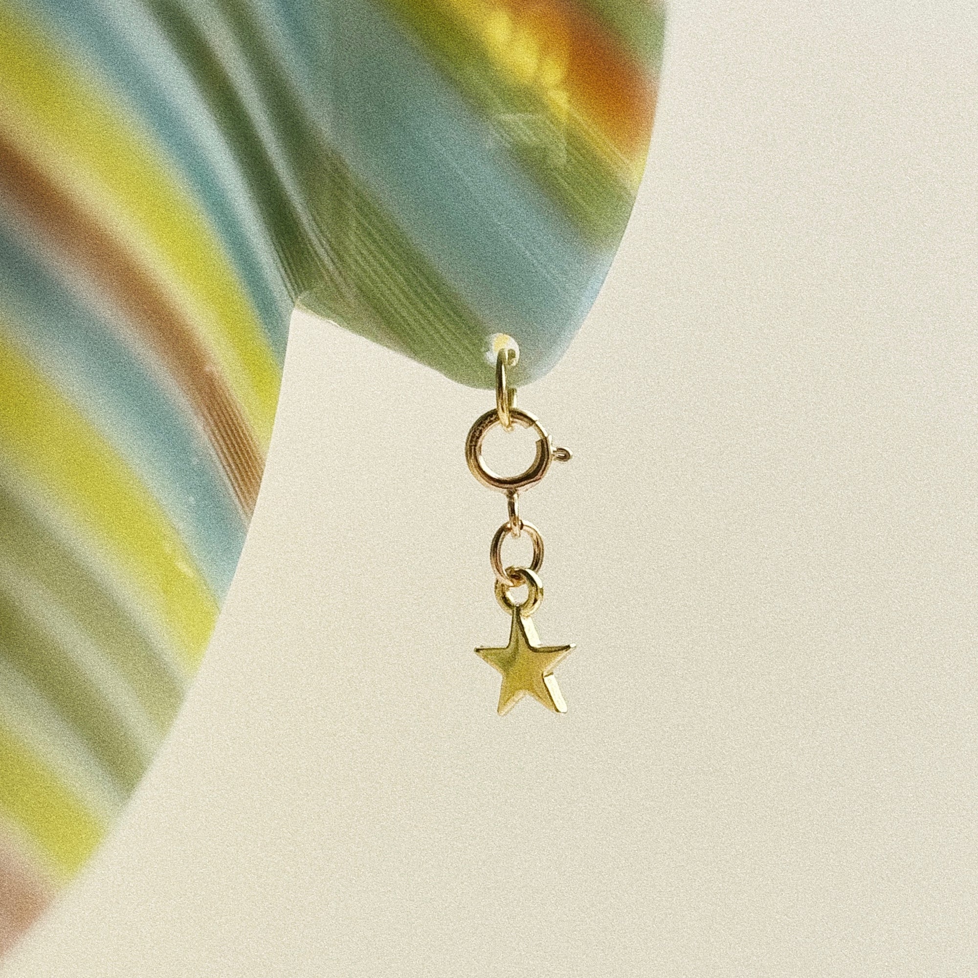 Hair Clip Charm — Lil Star